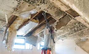 Best Asbestos and Lead Testing During Mold Inspection  in Sidney, OH